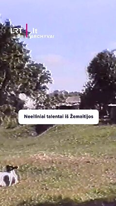Neeiliniai talentai iš Žemaitijos – Vladas su sūnumi pats susimeistravo automobilį