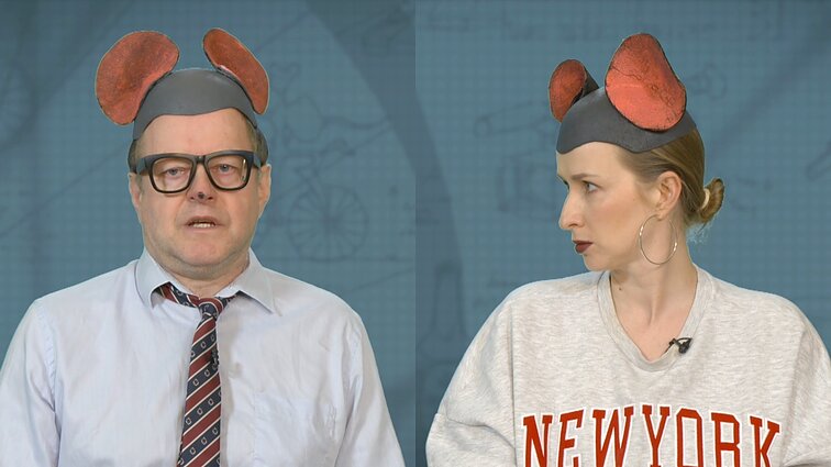 Peliukai apie mokesčių reformą: išbrangins vestuves?