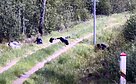 Neteisėti migrantai (Asociatyvi nuotr.)