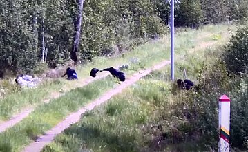 Neteisėti migrantai (Asociatyvi nuotr.)