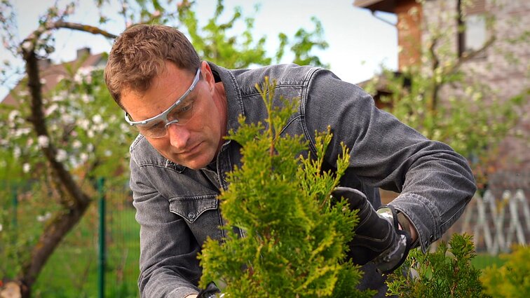 Vešli, sveika gyvatvorė – misija įmanoma: agronomas patarė, kaip išvengti genėjimo klaidų