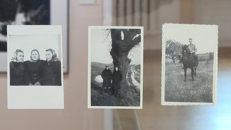 Alantos dvaro sodyboje – Putnos fotografijų paroda: stebina kokybė, vertė ir meninis lygis