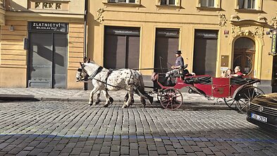 Pasivažinėjimas senamiesčio gatvėmis Pasivažinėjimas senamiesčio gatvėmis