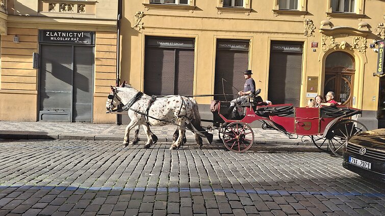 Pasivažinėjimas senamiesčio gatvėmis Pasivažinėjimas senamiesčio gatvėmis