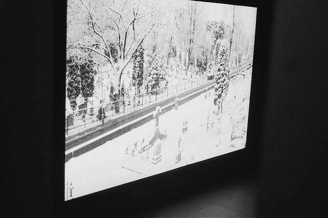 „Mundus Mal-a-Showcase“