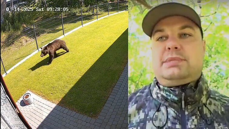 Miškininkas įspėja dėl migruojančių meškų: jokiu būdu neikite į lauką ir nevykite gyvūno