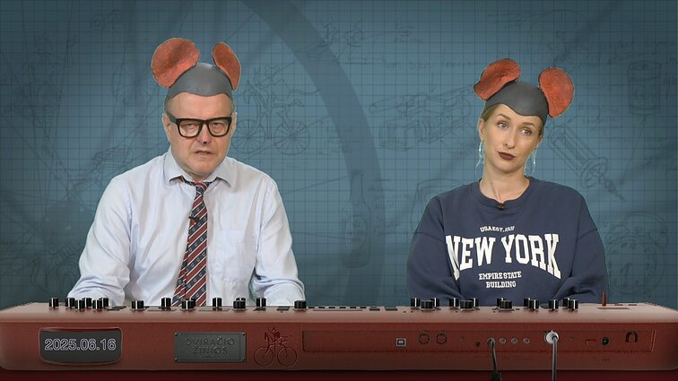Peliukai apie siūlymą naikinti Desovietizacijos komisiją: pavėluota iniciatyva?