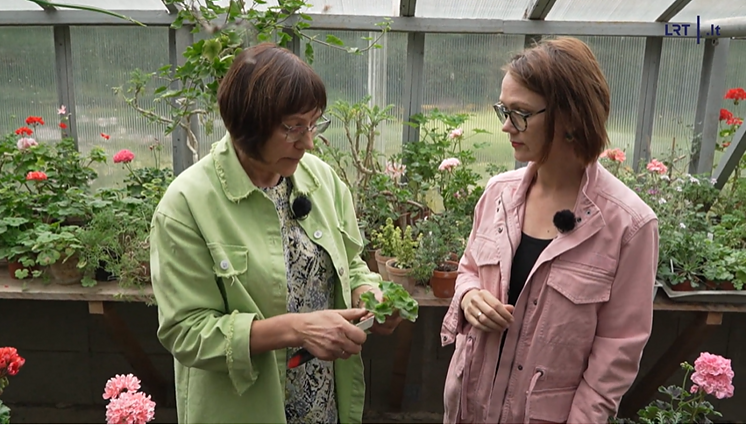 Dr. Rimanta Vainorienė