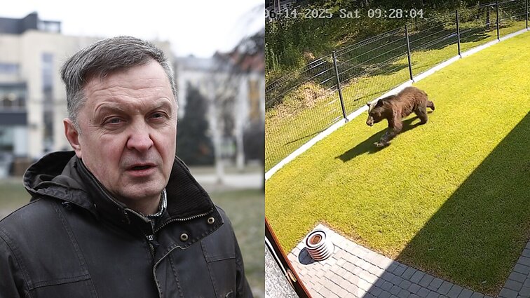 Ekspertas apie į Vilnių atklydusį lokį: jau šeštadienį buvo galima kažką padaryti
