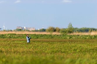 Patelių lizdų paieška
