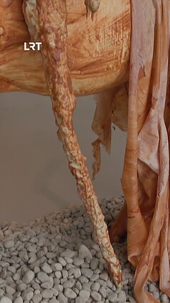 Sapiegų rūmuose – estų paroda „Marš“