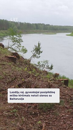 LRT girdi: piktinamasi kertamais miškais