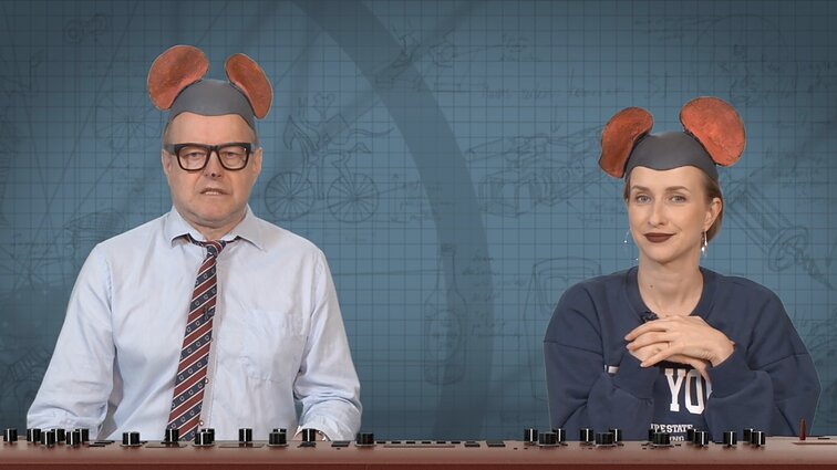 Peliukai apie NATO finansus: reikalinga kiaulė-taupyklė?