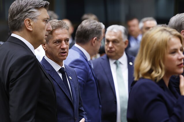 Europos Vadovų Taryba