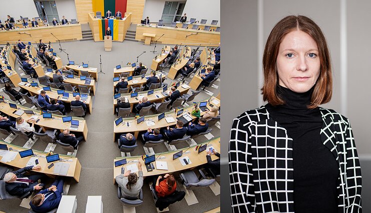 Davidonytė apie aistras dėl „čekiukų“ pataisų: tai galėtų net skatinti elgtis neskaidriai