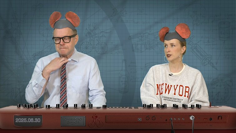 Peliukai apie neigiamą elektros kainą: puiki proga užsidirbti?