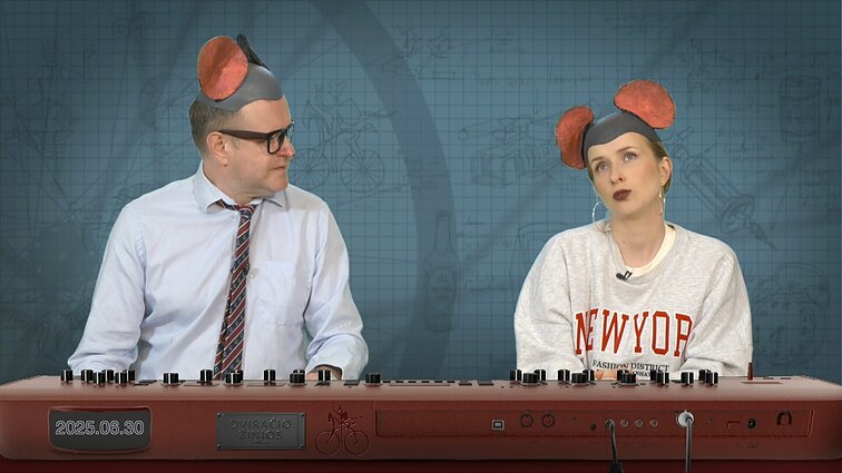 Peliukai apie Gintautą Palucką: žmogus priverstas kęsti kankinimus?