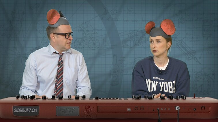Peliukai apie Seimo „čekutininkus“: Paluckui jie neatleis?