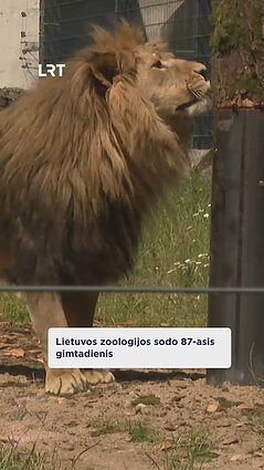 Lietuvos zoologijos sodas švenčia gimtadienį