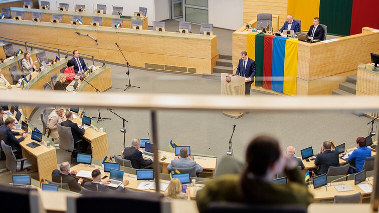 Burbulytė apie politinės kultūros didinimą: to padaryti nepavyko ir šiems valdantiesiems