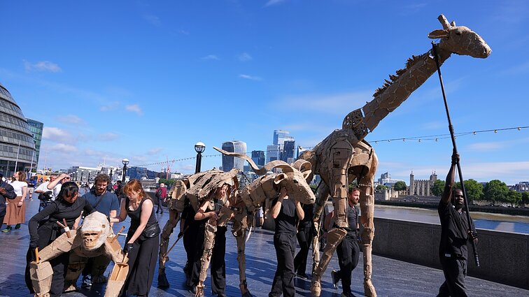 Iš Afrikos į Arktį keliauja kartoninių gyvūnų banda: nori atkreipti dėmesį į aplinkosaugą