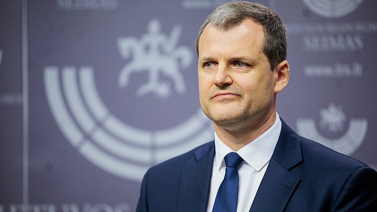 Palucko veiksmus Konstitucijos pažeidimu vadinanti profesorė: interpeliacija būtų nelengva