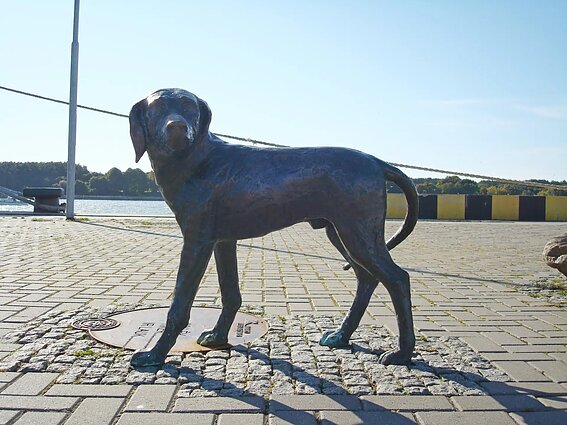 „Vaikystės svajonė“ „Vaikystės svajonė“