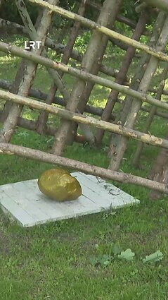 Ar esate girdėję apie blogo meno muziejų?