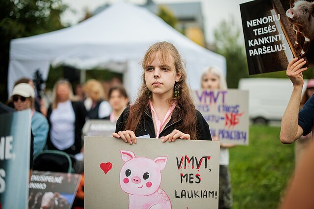 Surengtas dar vienas protestas prieš paršelių kastraciją be nuskausminamųjų