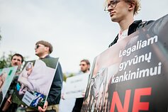 Surengtas dar vienas protestas prieš paršelių kastraciją be nuskausminamųjų