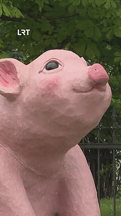 Surengtas trečiasis „Tuščių narvų“ protestas dėl paršelių kastravimo