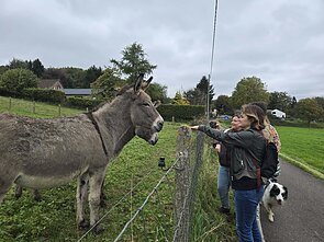 Belgijos lietuvių keliautojų klubo žygiai