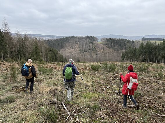 Belgijos lietuvių keliautojų klubo žygiai