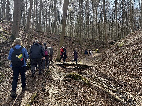 Belgijos lietuvių keliautojų klubo žygiai