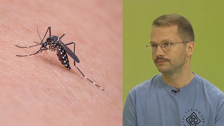 Specialistas apie maliarijos pavojų: yra tikimybė, kad ateity infekcija plis mūsų šalyje