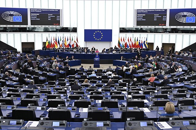 Европейский парламент Европейский парламент