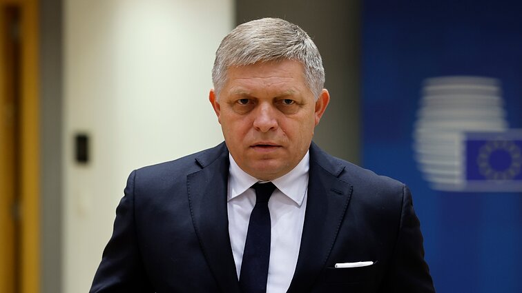 Aleksiejūnas apie ES sankcijas Rusijai: bandoma padėti Slovakijai atsikratyti rusiškų dujų