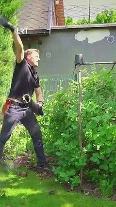 Kaip apsaugoti vaiskrūmius nuo paukščių?