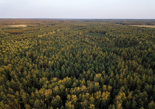 Ekspertė apie vietinį turizmą Lietuvoje: mylim gamtą ir niekur nuo jos nepabėgam