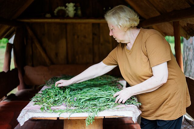 Angelės surinktas gauromecis