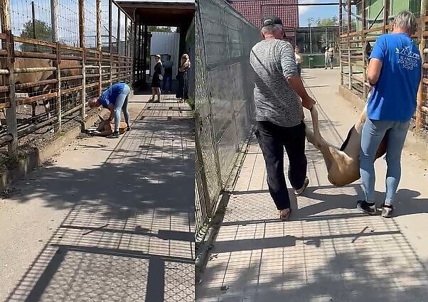 Laikinai uždarytas Klaipėdos zoologijos sodas: gyvūnus girdė vynu, šėrė riestainiais