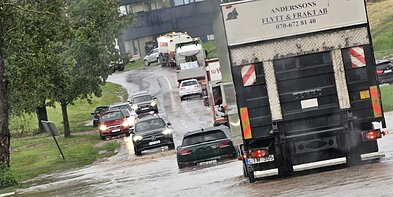 Liūtis