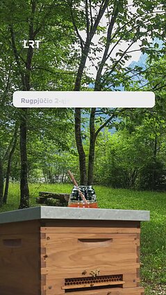 Laumio kalendoriuje: rugpjūčio 2 diena!