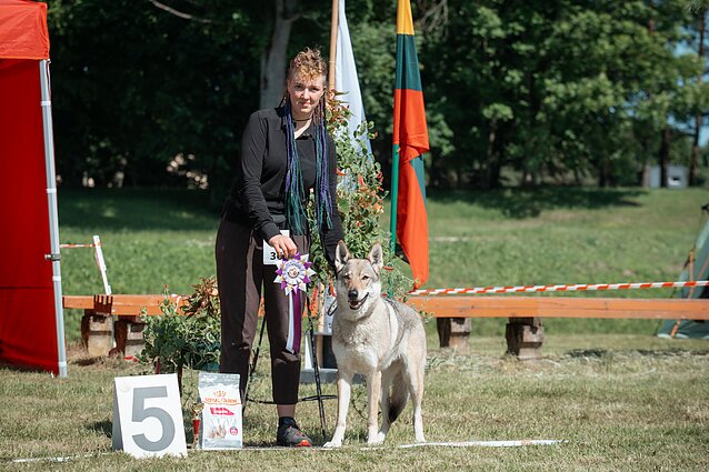 Gustė ir jos augintiniai Gustė ir jos augintiniai
