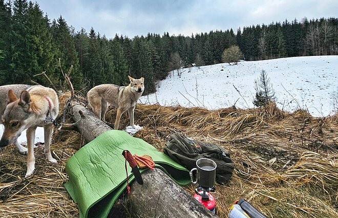 Gustės augintiniai Gustės augintiniai