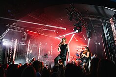 Adomo Vyšniausko koncerto akimirka