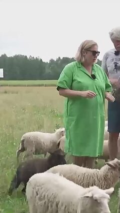 Dovilė Filmanavičiūtė bando perprasti avių kalbą