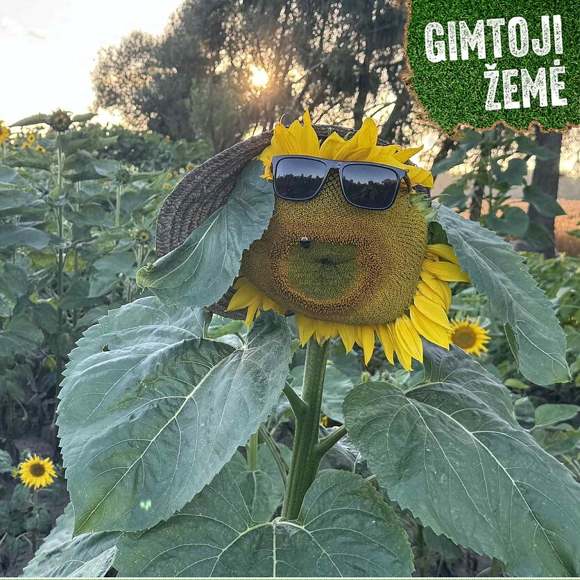 A. Spaičė, Originaliomis idėjomis papuoštos ir išpuoselėtos sodybos Lietuvoje – laukia atvykstančių lankytojų. 