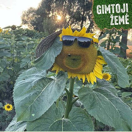 Originaliomis idėjomis papuoštos ir išpuoselėtos sodybos Lietuvoje – laukia atvykstančių lankytojų. 