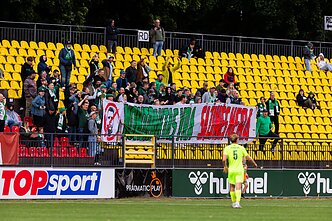 „Žalgirio“ sirgalių žinutė V. Čeburinui